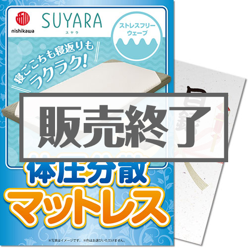 【パネもく！】西川 体圧分散マットレス（A4パネル付）[当日出荷可]