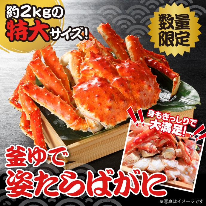 【パネもく!】<数量限定>特大!”釜ゆで”姿たらばがに(A4パネル付)