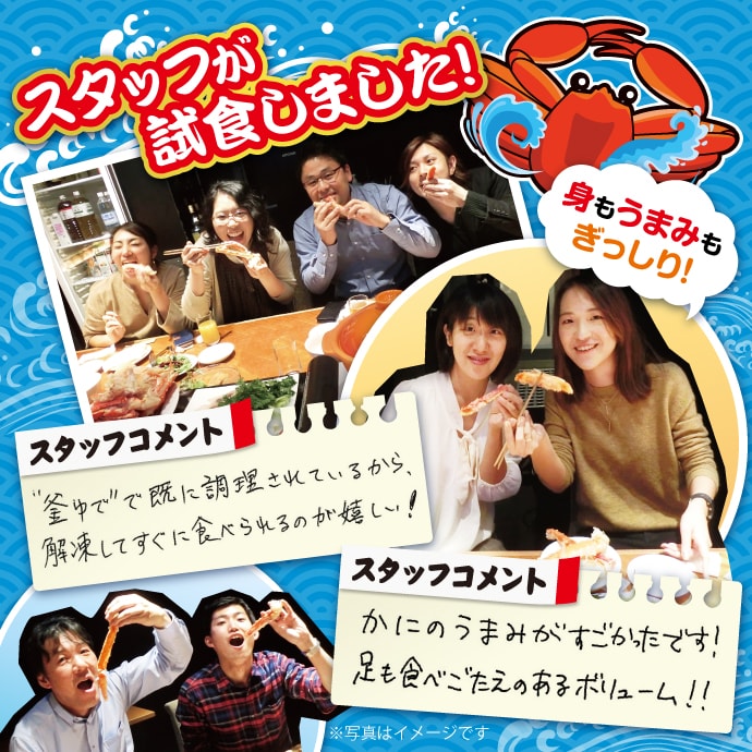 【パネもく!】<数量限定>特大!”釜ゆで”姿たらばがに(A4パネル付)