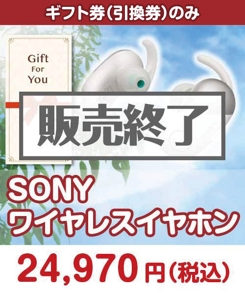 SONY ワイヤレスイヤホン