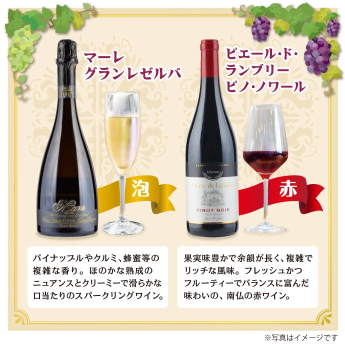 カジュアル ワインセット