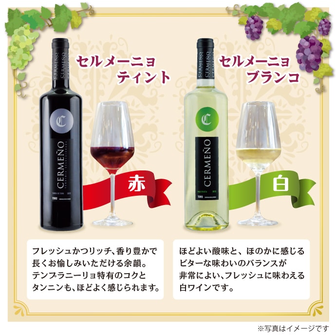 カジュアル ワインセット