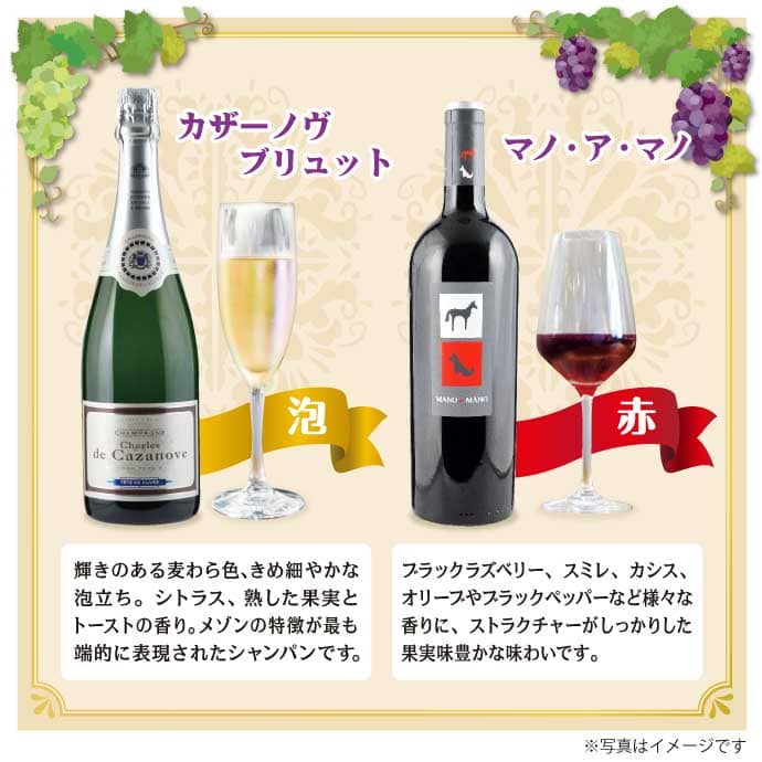 カジュアル ワインセット