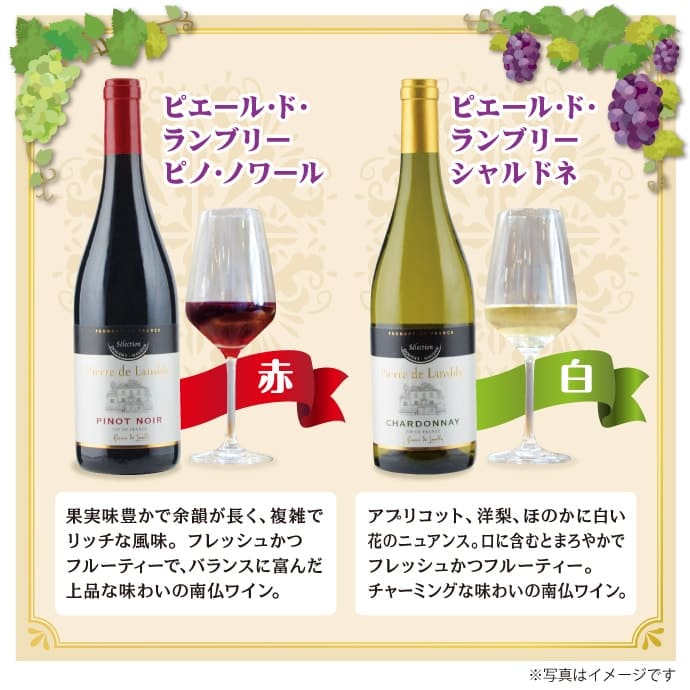 カジュアル ワインセット