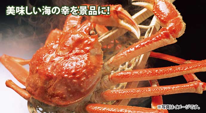 釜ゆで姿ずわいがに