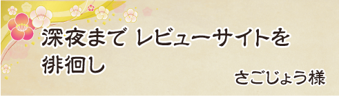 深夜まで　レビューサイトを　徘徊し